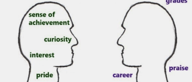 Counselor Tips from Stamford American HK