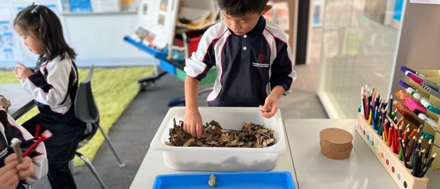Pre Primary Student - Sensory Play